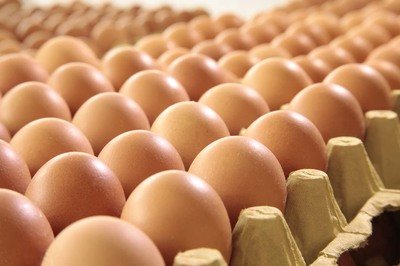 鸡蛋检测价格,鸡蛋检测机构,鸡蛋检测项目,鸡蛋常规检测
